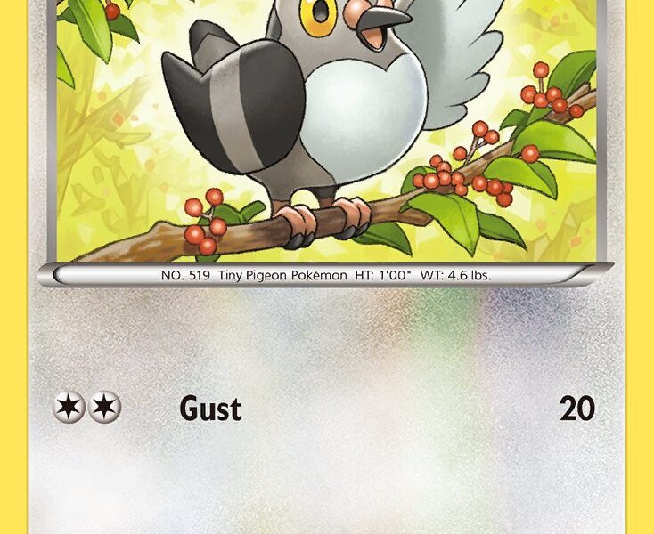 Pidove Pokemon Kaart
