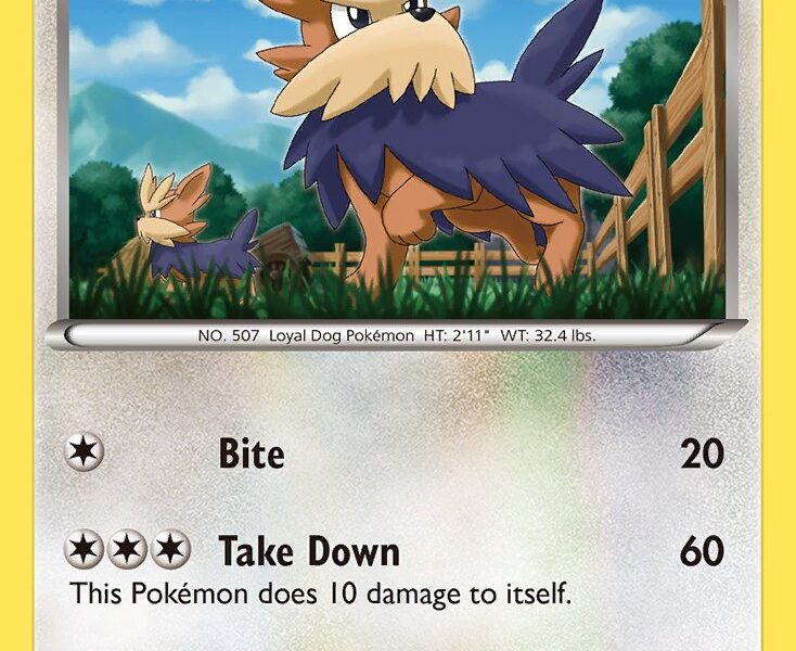 Herdier Pokemon Kaart
