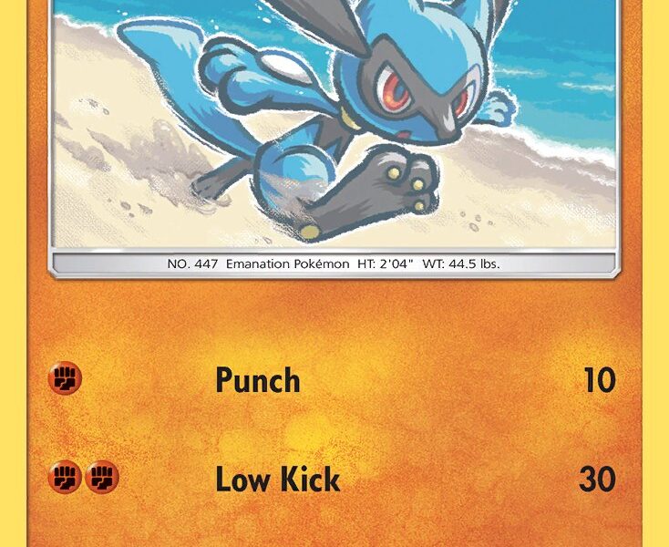 Riolu Pokemon Kaart