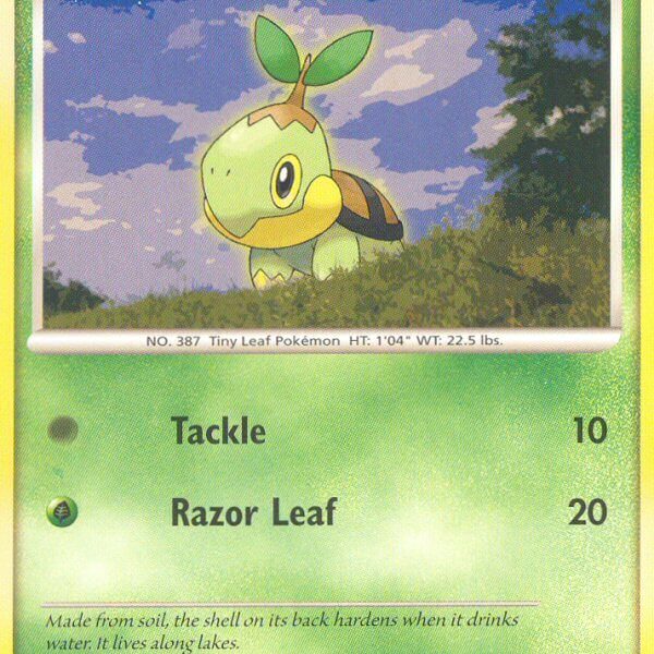 Turtwig Pokemon Kaart