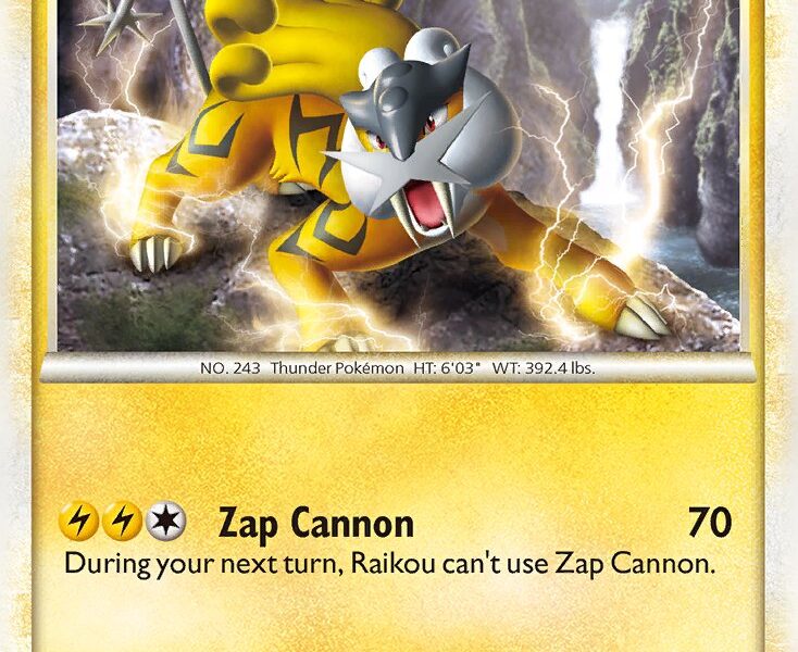 Raikou Pokemon Kaart