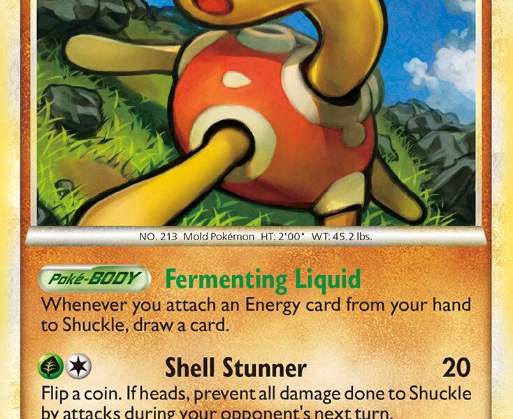 Shuckle Pokemon Kaart