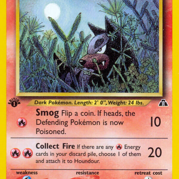Houndour Pokemon Kaart