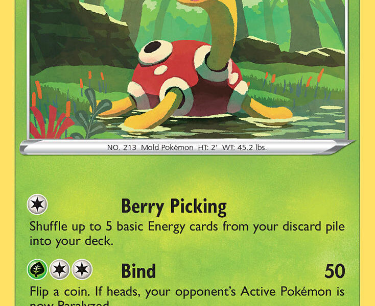 Shuckle Pokemon Kaart
