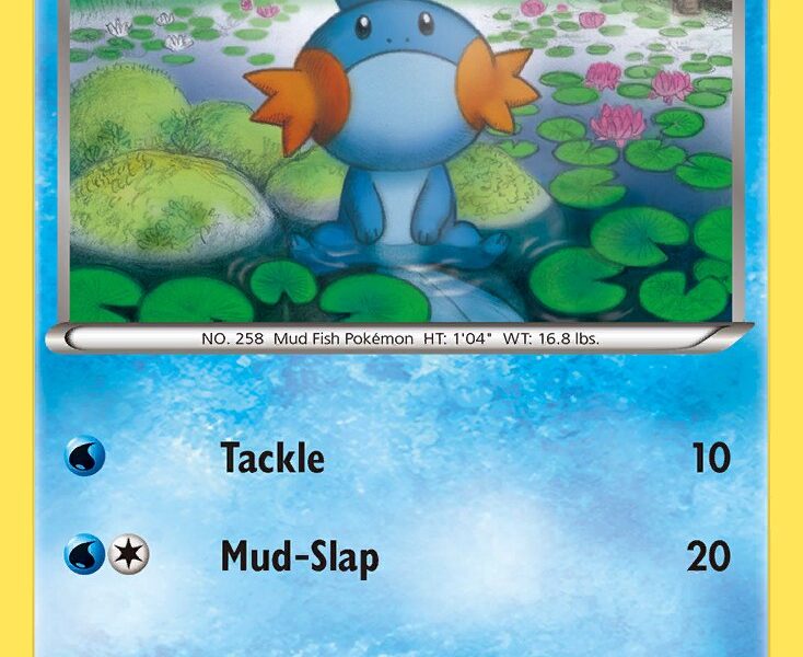 Mudkip Pokemon Kaart
