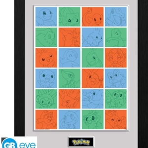 Pokemon Framed Print – First Partner Grid